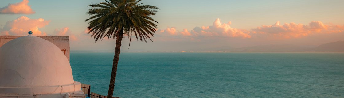 Tunis